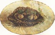 Vincent Van Gogh Basket of Sprouting Bulbs (nn04) Norge oil painting reproduction